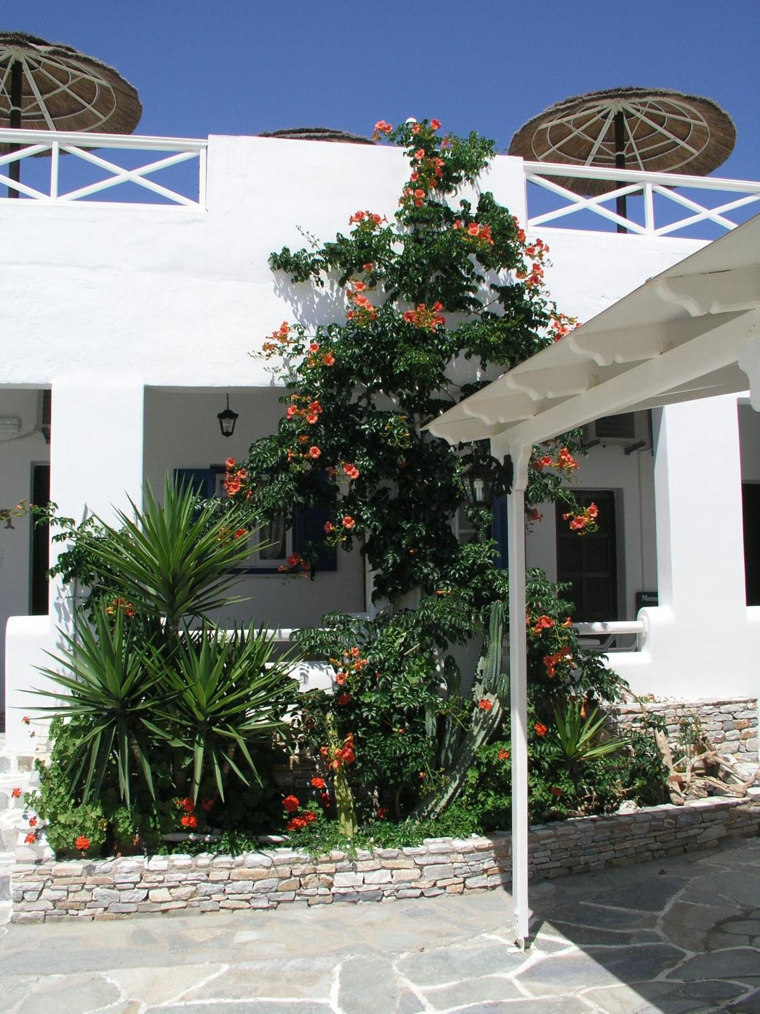 Hotel Helena Chora de Ios Exterior foto